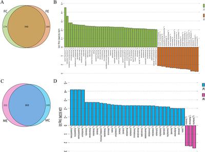 Effect of Helicobacter pylori-related chronic gastritis on gastrointestinal microorganisms and brain neurotransmitters in mice